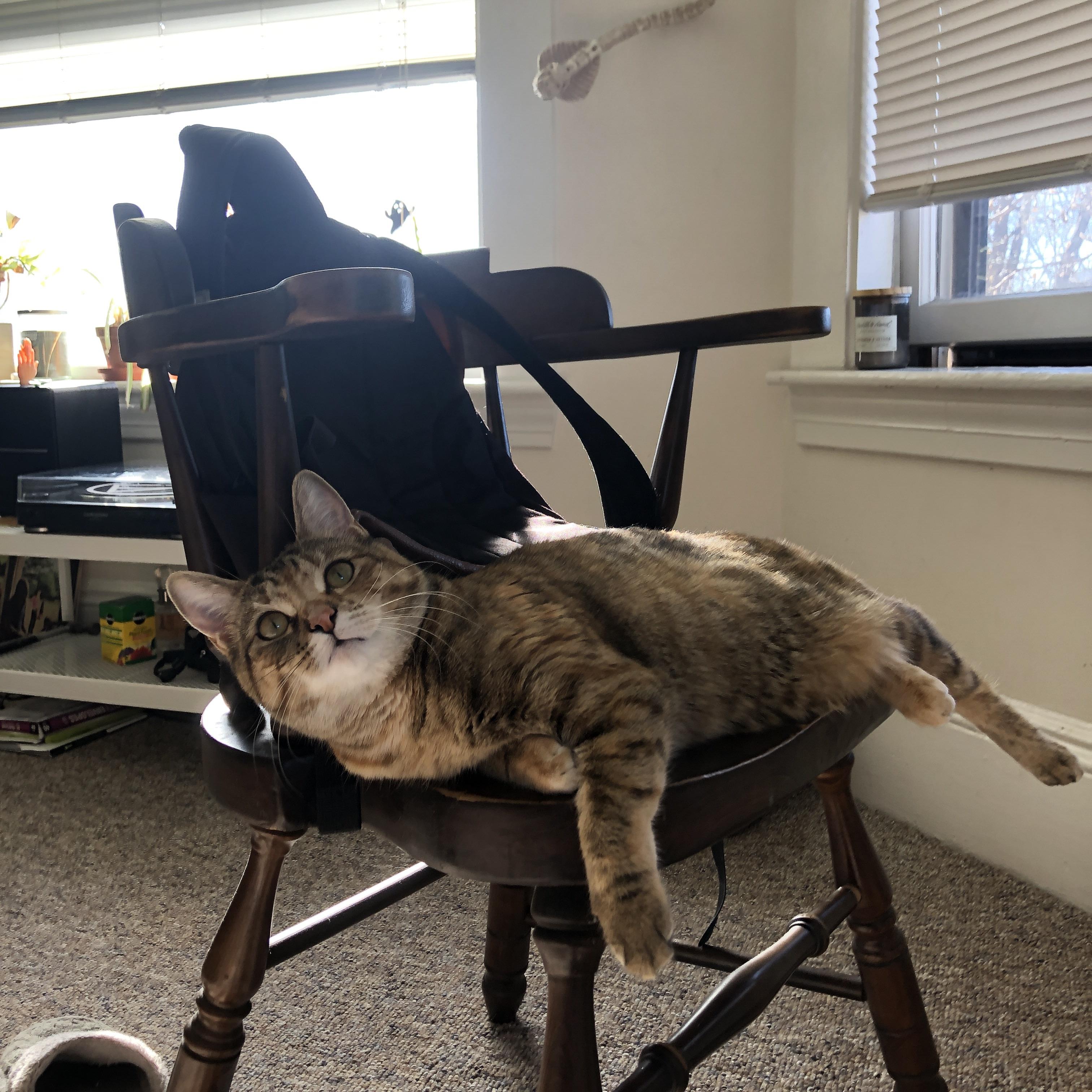 西甲国家德比之夜，伊萨克比赛走势一手掌控